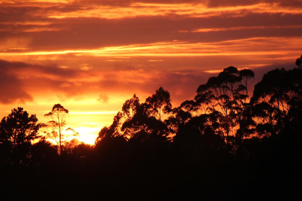 Puriridale B & B Kerikeri Exteriér fotografie