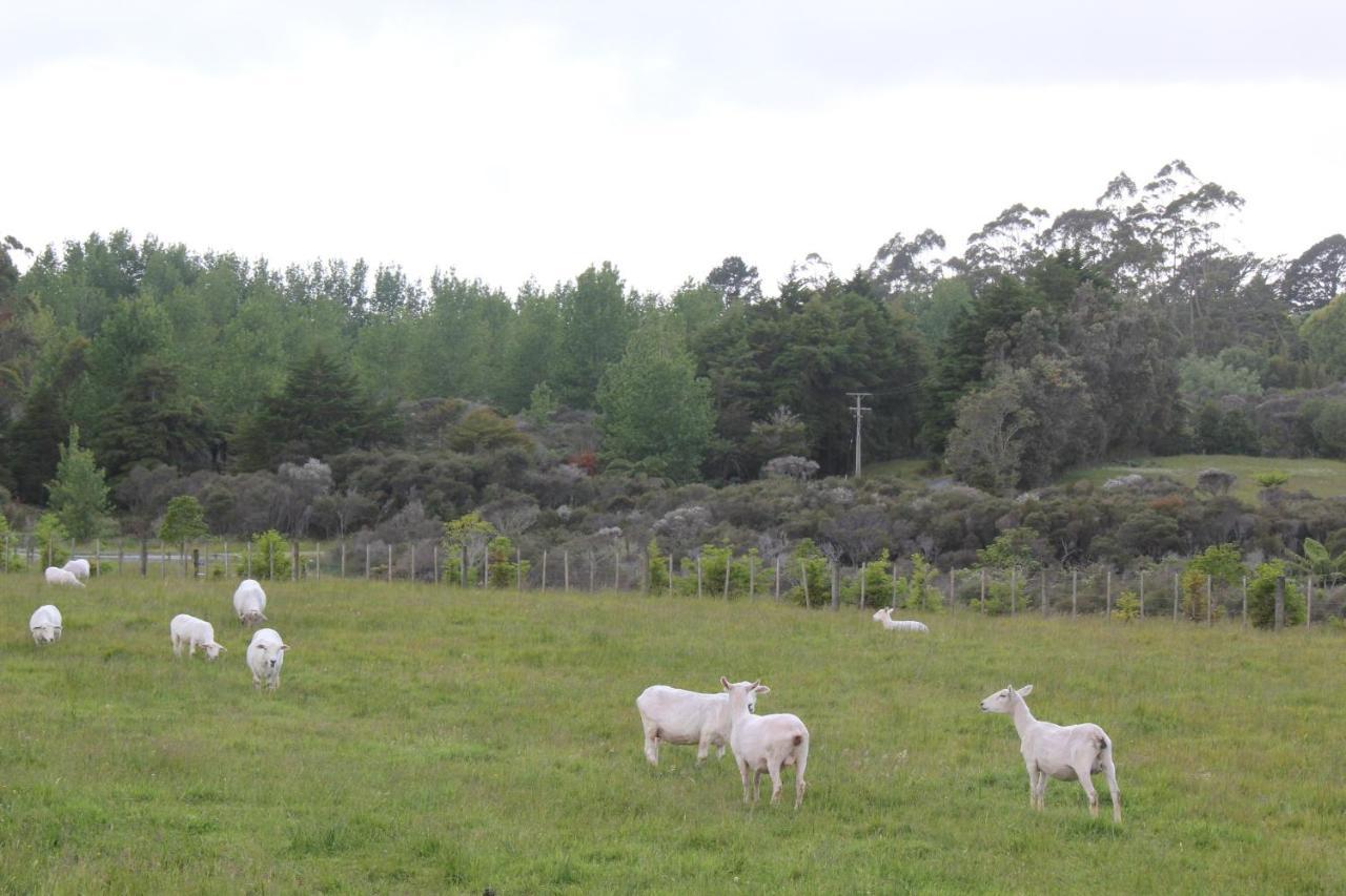 Puriridale B & B Kerikeri Exteriér fotografie