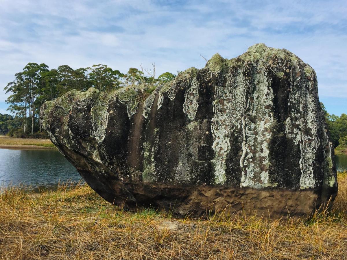 Puriridale B & B Kerikeri Exteriér fotografie