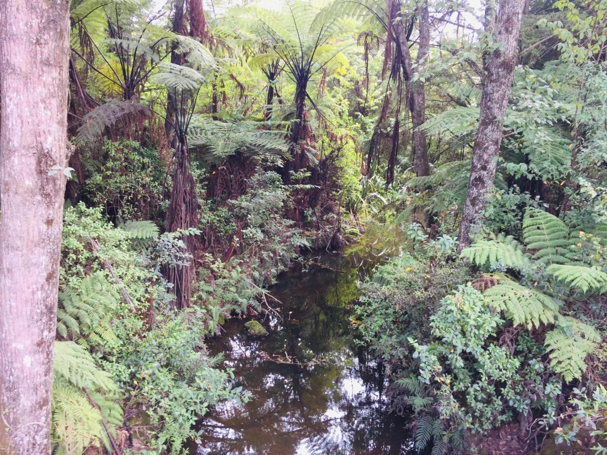 Puriridale B & B Kerikeri Exteriér fotografie